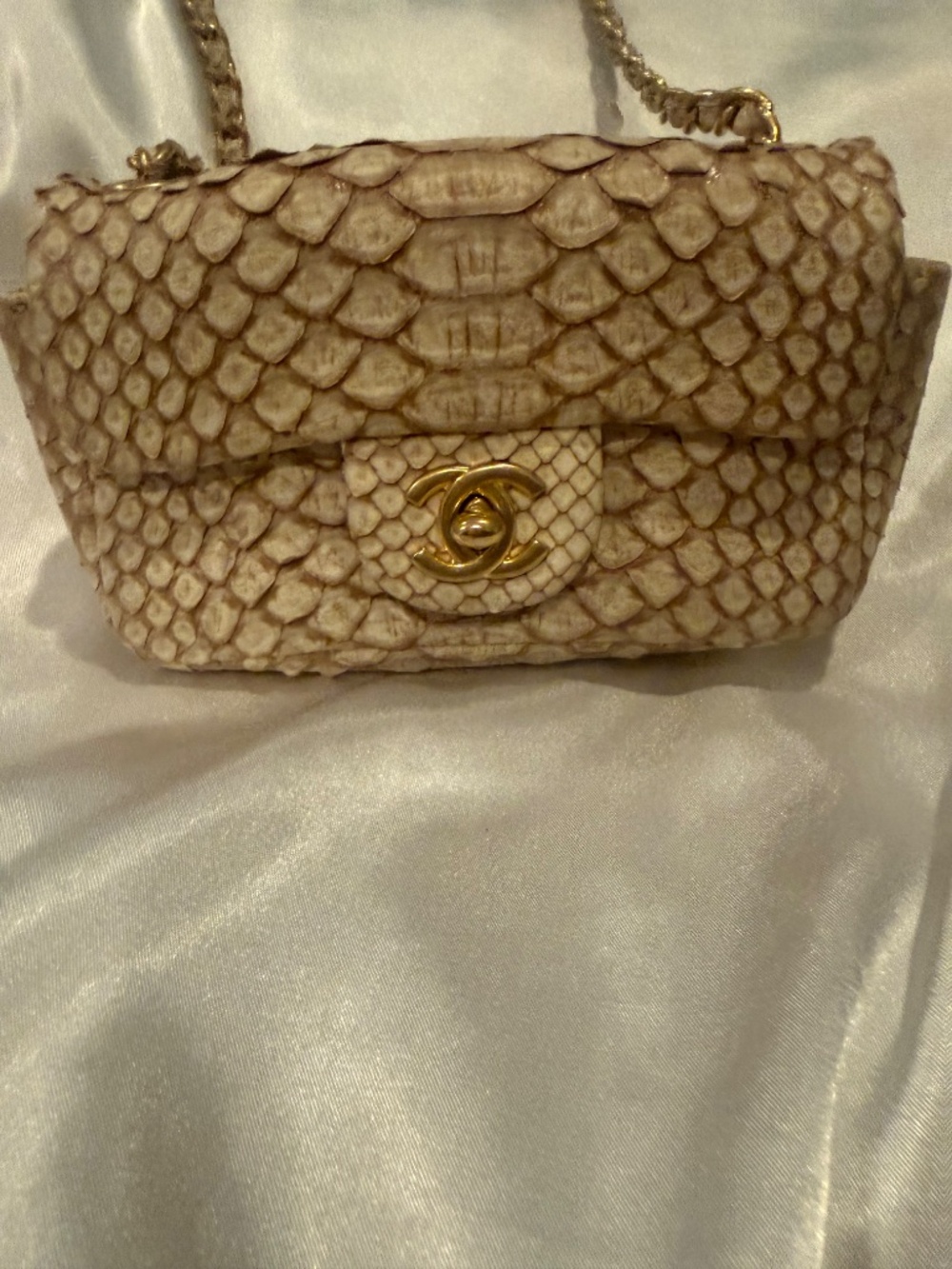 Chanel Python mini flap bag - Picture 2 of 15